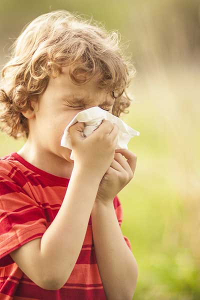 L'essentiel des allergies